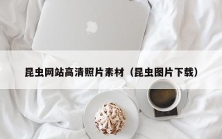 宜昌昆虫网站高清照片素材（昆虫图片下载）